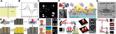 Femtosecond Laser Fabrication of Noble Metal Plasma Nanostructures and Its Application-A Mini Review